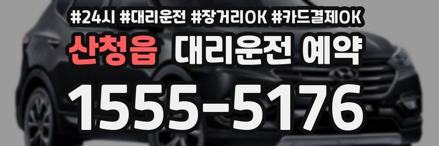 산청읍 대리운전 예약