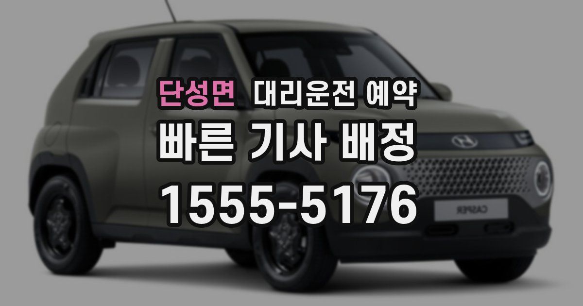 단성면 대리운전 예약