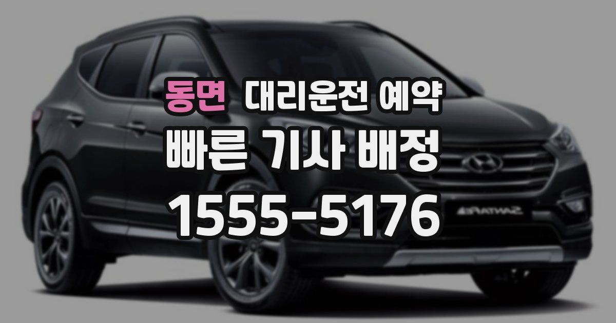 동면 대리운전 예약