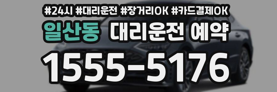 일산동 대리운전 예약