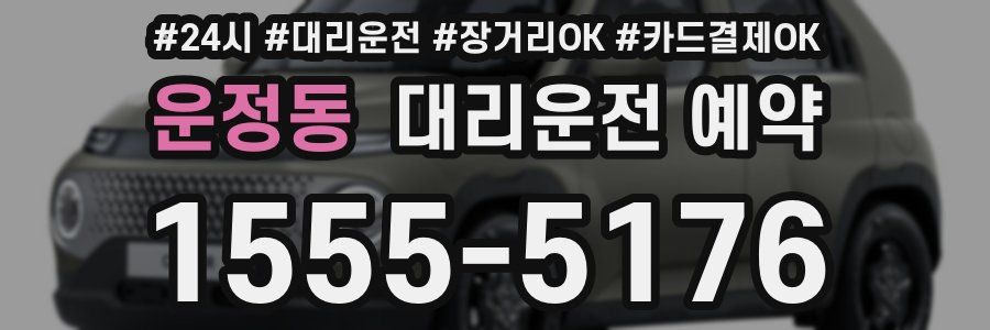 운정동 대리운전 예약