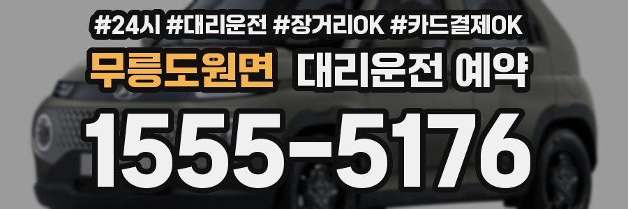 무릉도원면 대리운전 예약