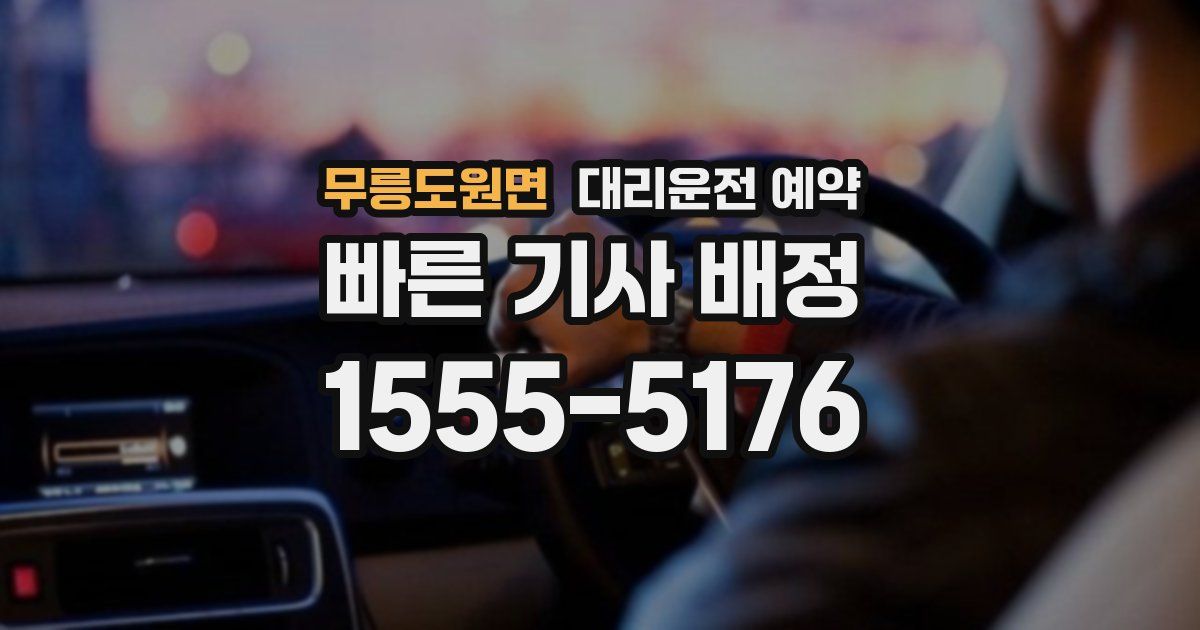 무릉도원면 대리운전 예약