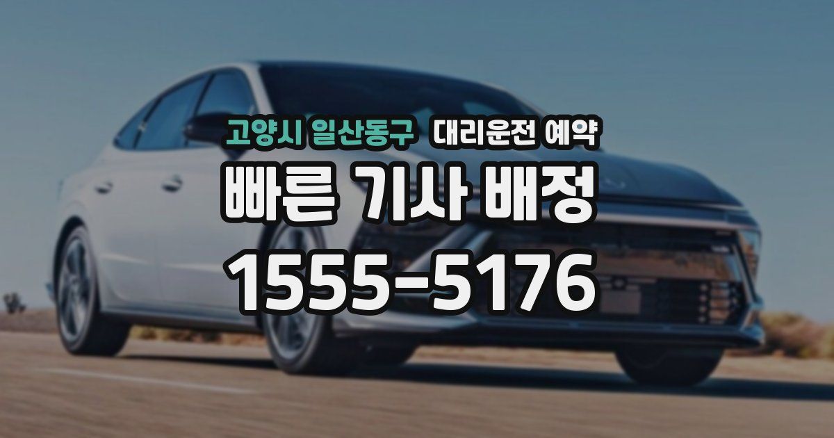 고양시 일산동구 대리운전 예약