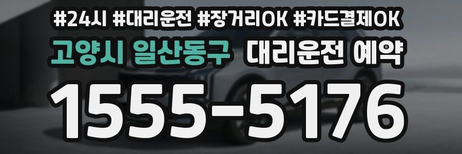 고양시 일산동구 대리운전 예약