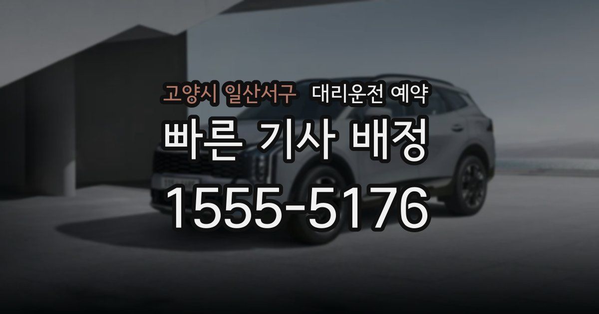 고양시 일산서구 대리운전 예약