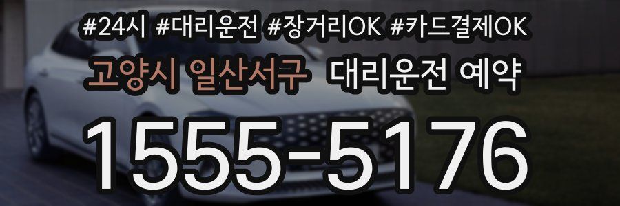 고양시 일산서구 대리운전 예약