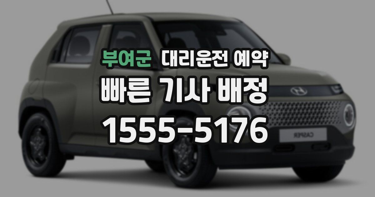 부여군 대리운전 예약