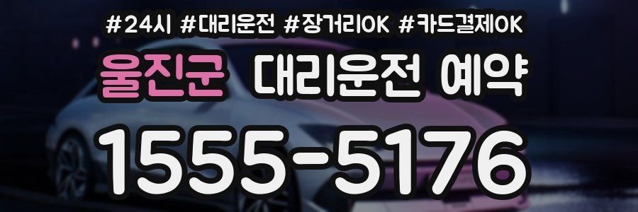 울진군 대리운전 예약