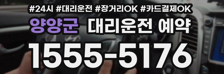 양양군 대리운전 예약