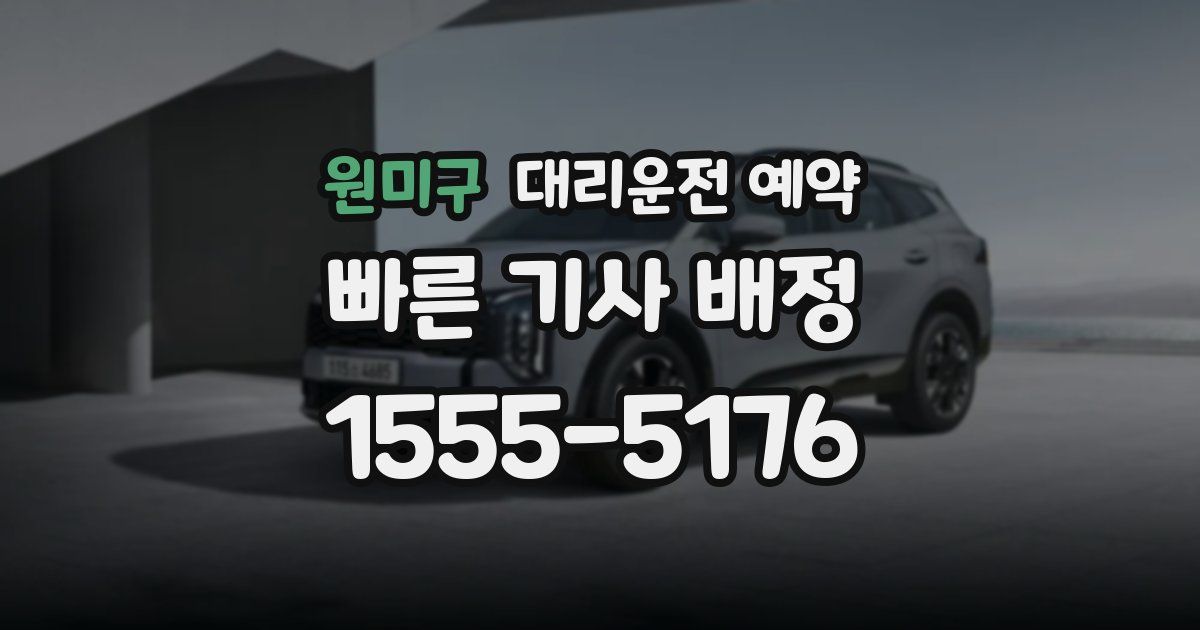 원미구 대리운전 예약