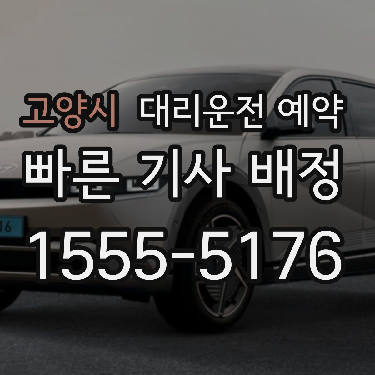 고양시 대리운전 예약