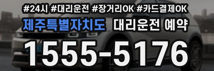 제주특별자치도 대리운전 예약