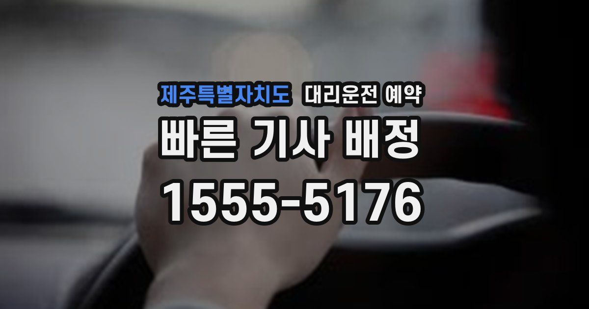 제주특별자치도 대리운전 예약