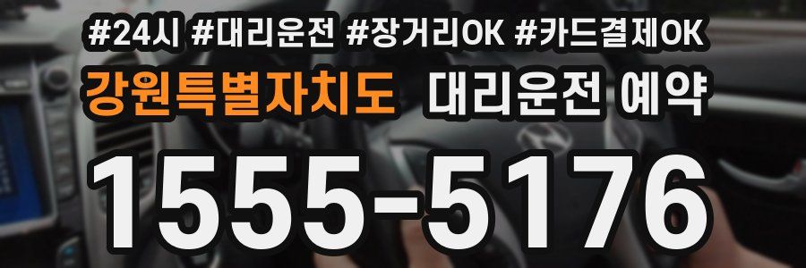 강원특별자치도 대리운전 예약