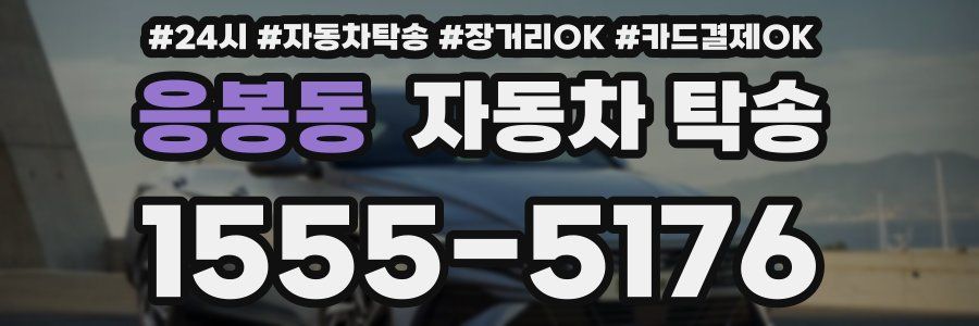 응봉동 자동차 탁송