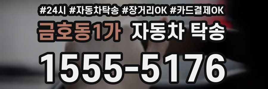 금호동1가 자동차 탁송