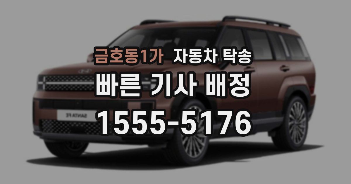 금호동1가 자동차 탁송