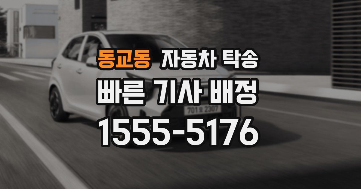 동교동 자동차 탁송