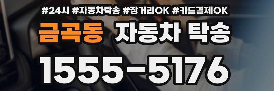 금곡동 자동차 탁송