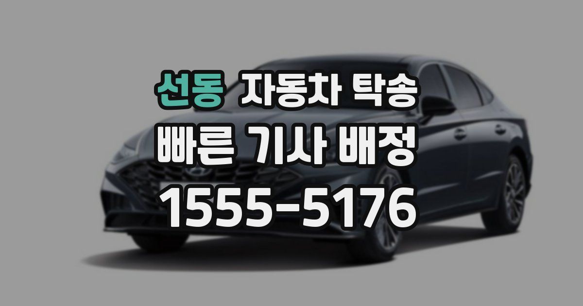 선동 자동차 탁송