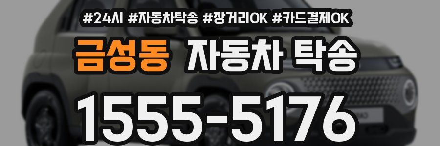 금성동 자동차 탁송
