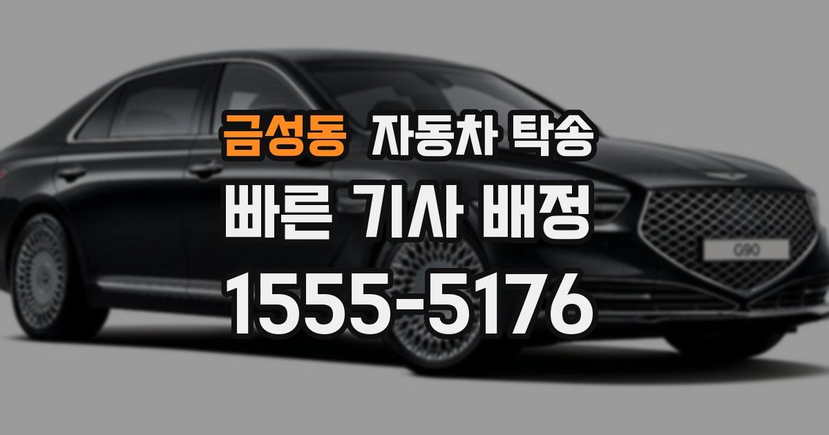 금성동 자동차 탁송