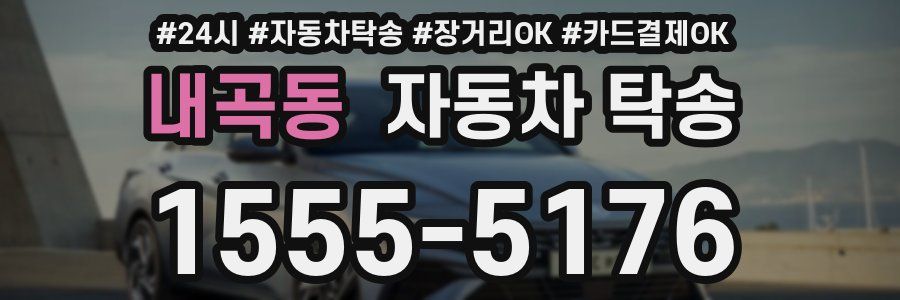 내곡동 자동차 탁송