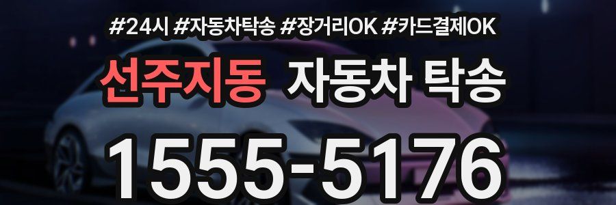 선주지동 자동차 탁송