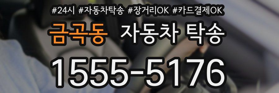 금곡동 자동차 탁송