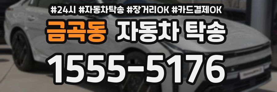 금곡동 자동차 탁송