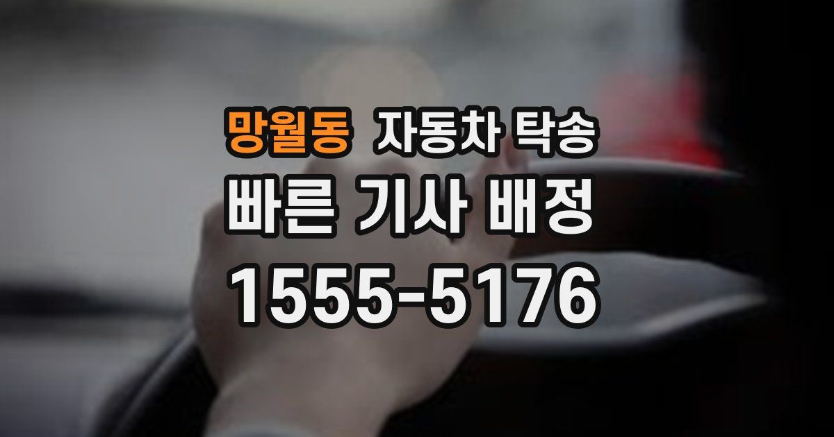 망월동 자동차 탁송