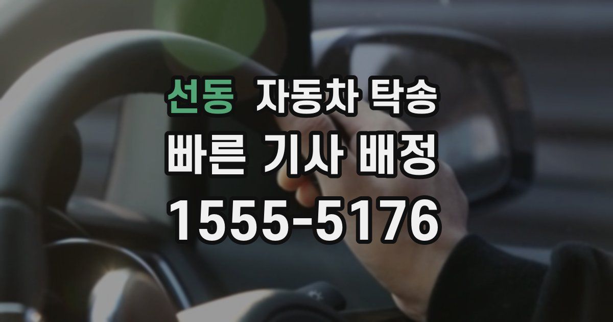 선동 자동차 탁송