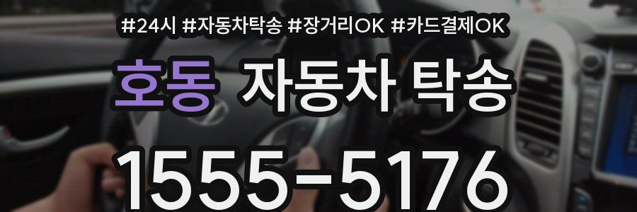 호동 자동차 탁송