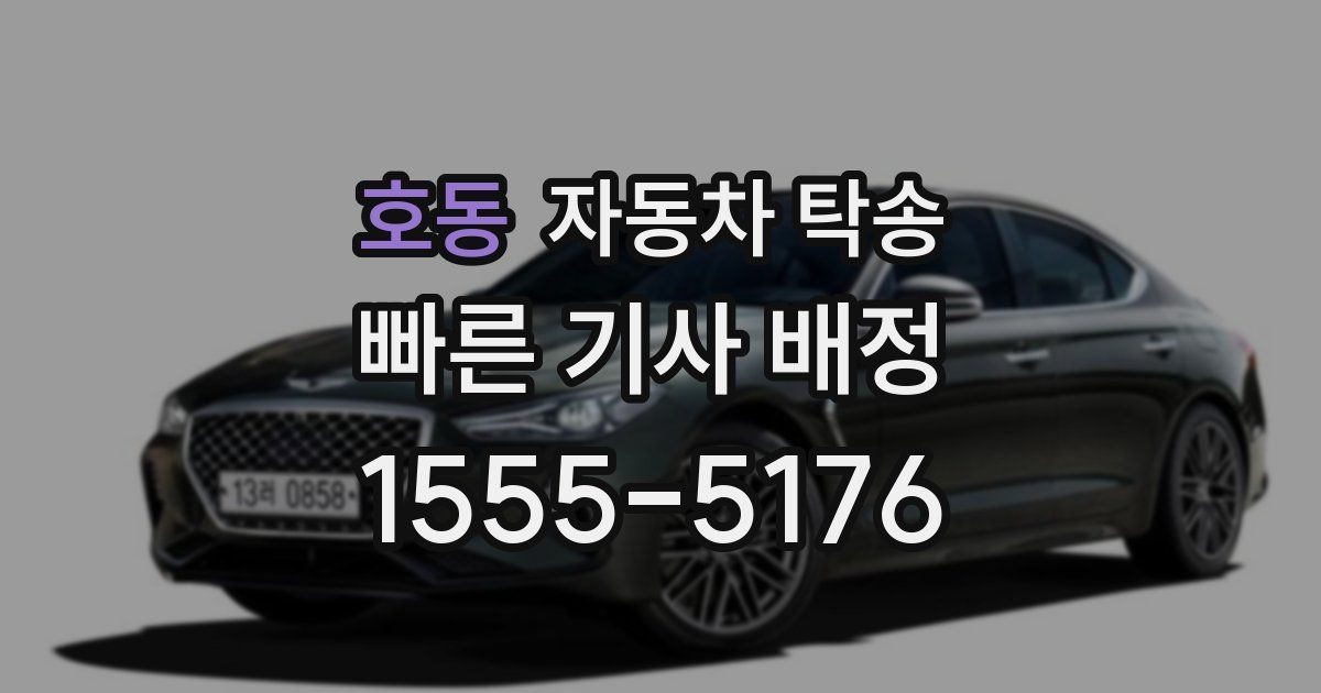 호동 자동차 탁송