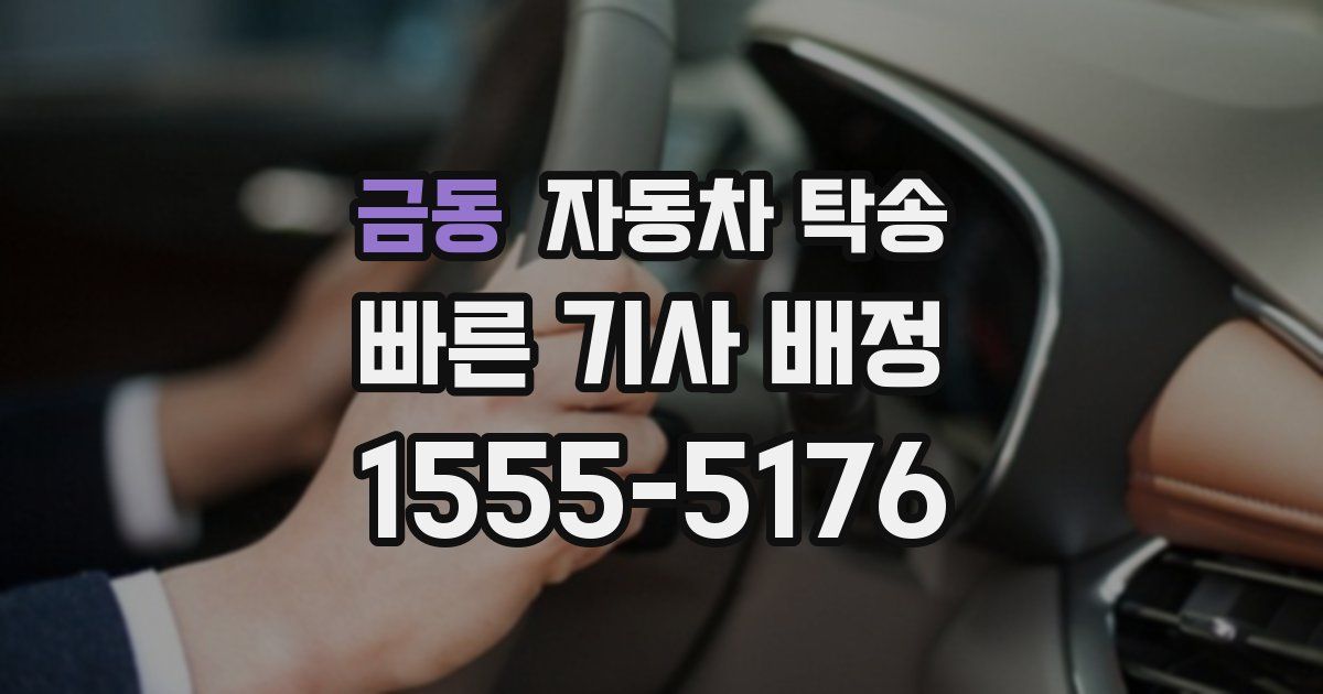 금동 자동차 탁송