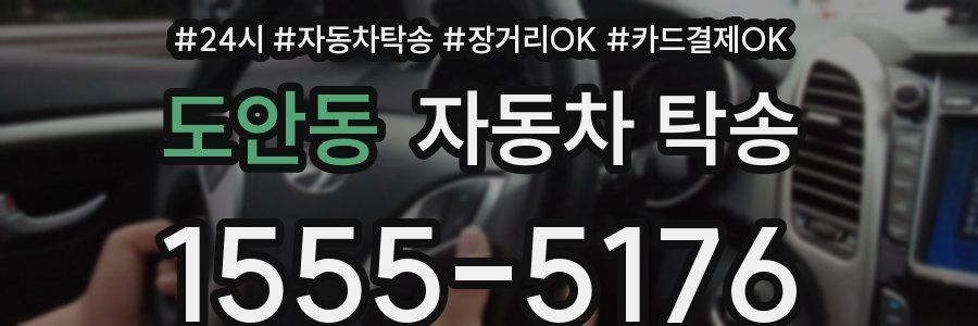 도안동 자동차 탁송