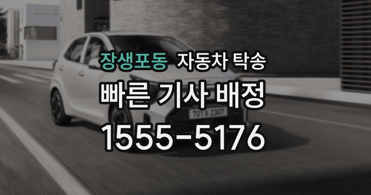 장생포동 자동차 탁송