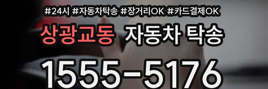 상광교동 자동차 탁송