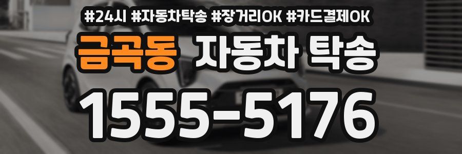 금곡동 자동차 탁송