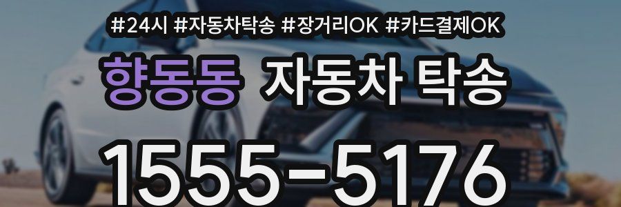 향동동 자동차 탁송