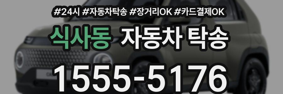 식사동 자동차 탁송