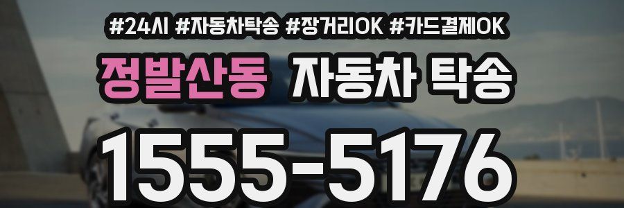 정발산동 자동차 탁송