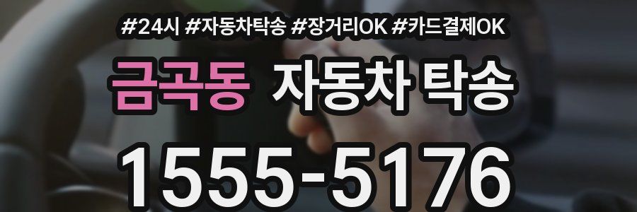 금곡동 자동차 탁송
