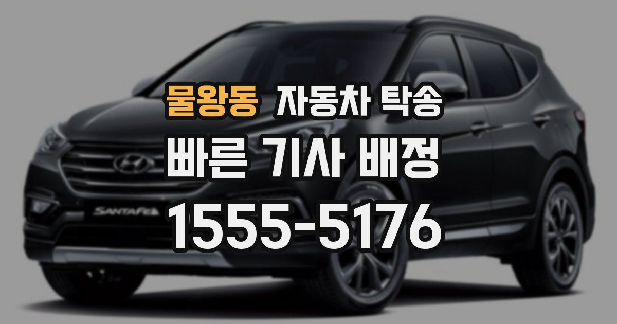 물왕동 자동차 탁송