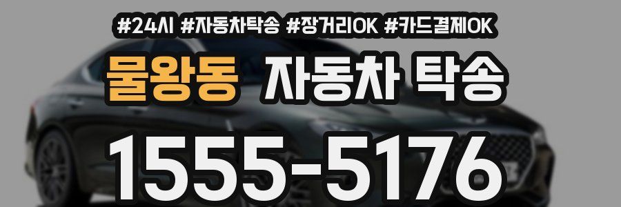 물왕동 자동차 탁송