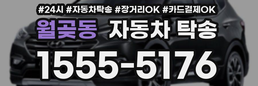 월곶동 자동차 탁송