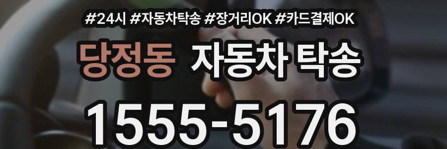 당정동 자동차 탁송