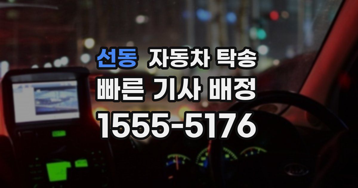 선동 자동차 탁송