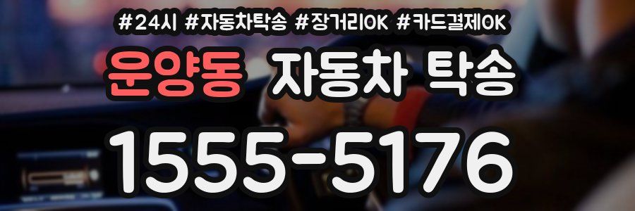 운양동 자동차 탁송